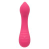 Calexotics - Pixies Teaser Rose